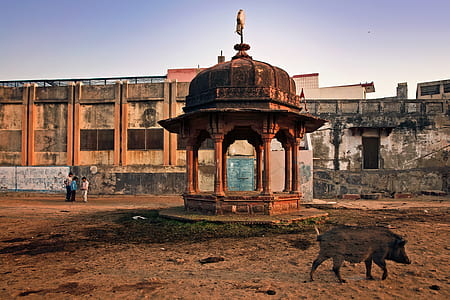 orange concrete gazebo near abandoned building thumbnail