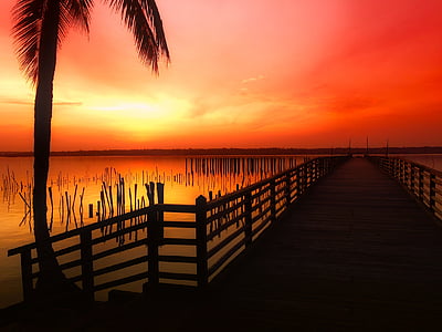 brown wooden jetty on water near coconut tree during golden hour thumbnail