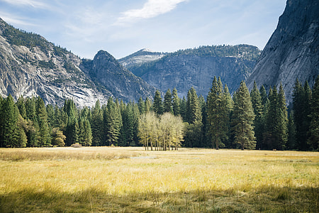 green trees near mountains during daytime thumbnail