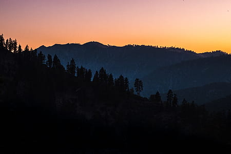 mountain covered with tree thumbnail