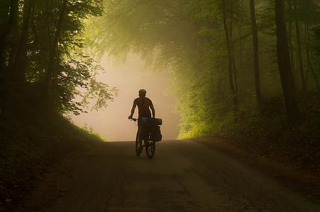 Person Riding on Bicycle Near Trees thumbnail
