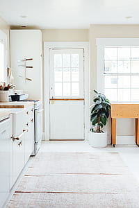 green plants near white wooden door thumbnail