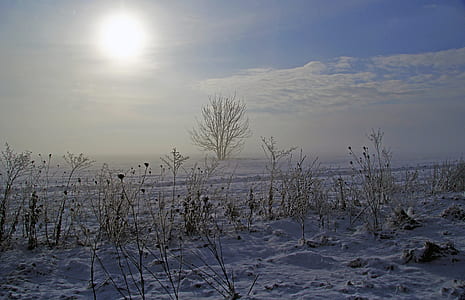 photo of grass field thumbnail