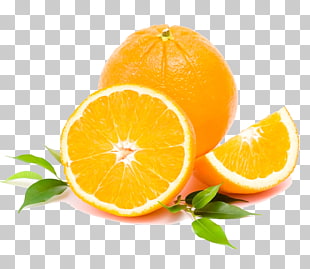 Tangerine Lemon Clementine Orange Frutti di bosco, orange, orange fruit PNG clipart