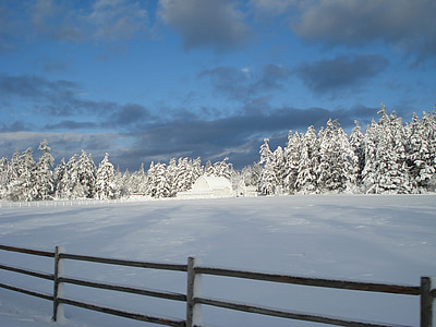 brown wooden fence during winter season thumbnail