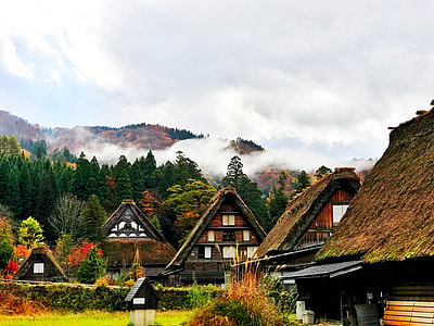 landscape photography of brown wooden houses and green forest thumbnail