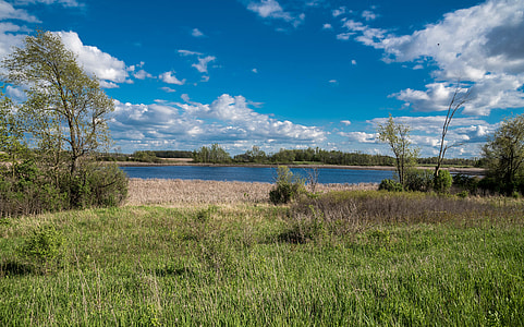 Landscape of the Marsh thumbnail