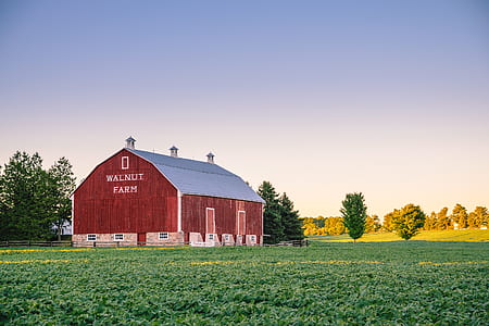 brown Walnut Farm barn on grass plain thumbnail