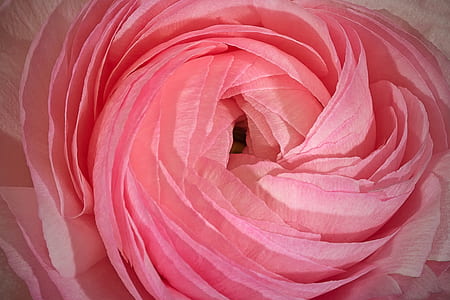 pink textile thumbnail