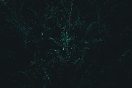 nature, dark, backgrounds, abstract thumbnail