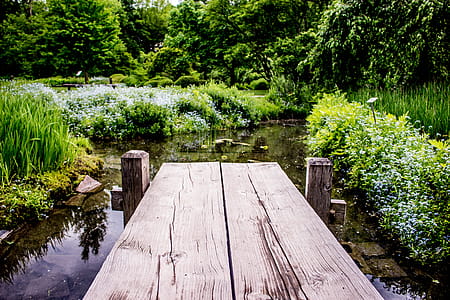 Brown Wooden River Dock thumbnail