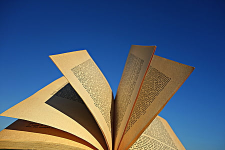 book pages thumbnail