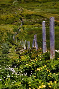 photo of green grass field thumbnail