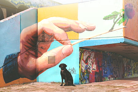 landscape, art, hand, water thumbnail