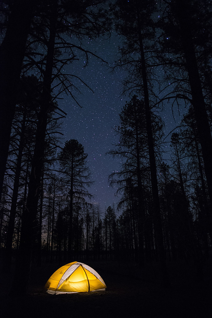yellow and white outdoor tent beside a tree during night