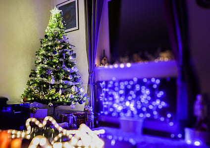 Christmas tree with turned-on string lights thumbnail