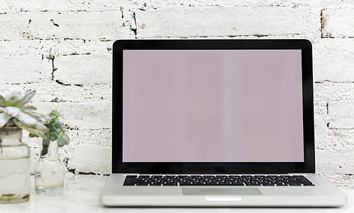 laptop beside glass vase thumbnail