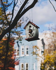 selective focus photo of gray and brown bird house thumbnail