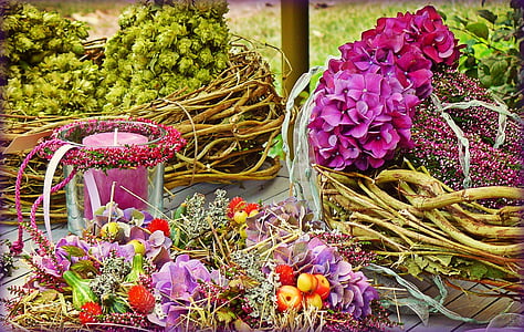 assorted-color petaled flowers thumbnail