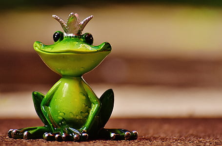 selective photograph of green frog figurine thumbnail