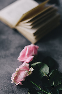 Lovely roseses, book and coffee thumbnail