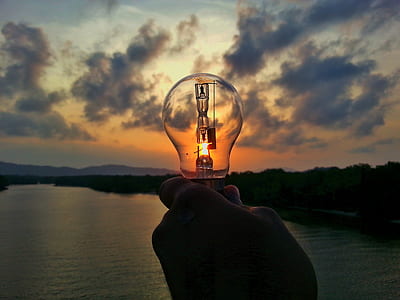person holding clear LED bulb thumbnail