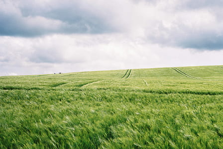 green grass field under cloudy sky thumbnail
