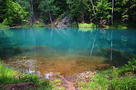 lake near green trees thumbnail