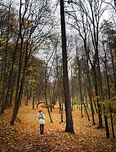 person standing between forest during daytime thumbnail