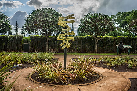 brown wooden road sign decor in center of concrete pathway beside plants on garden at daytime thumbnail