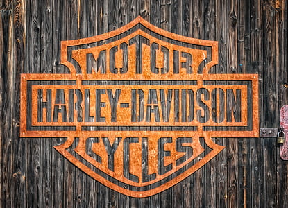 shallow focus of brown Motor Harley-Davidson cycles logo thumbnail