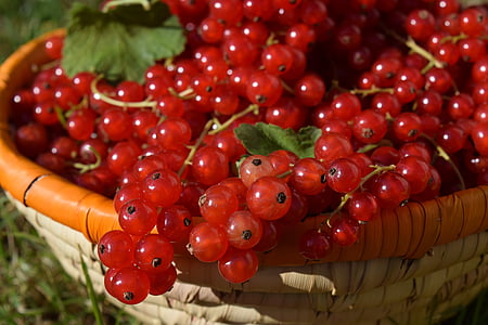 red grapes thumbnail
