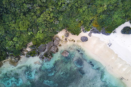aerial photography of body of water near trees thumbnail