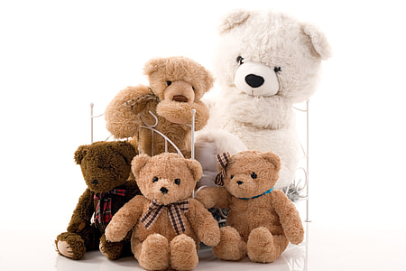 assorted-size white and brown teddy bears thumbnail
