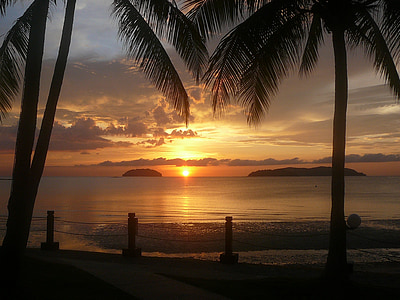 silhouette photo of trees beside sea during golden hour thumbnail