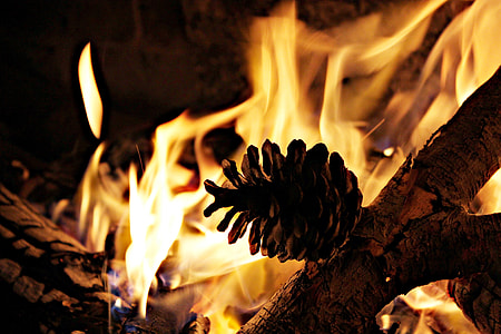pine cone near fireplace thumbnail