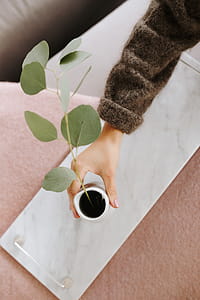 Marble white tray with silver handles thumbnail