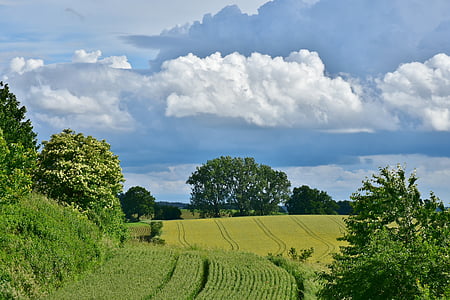 green grass field under white clouds thumbnail