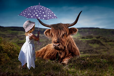 girl and yack on green grass field during daytime thumbnail