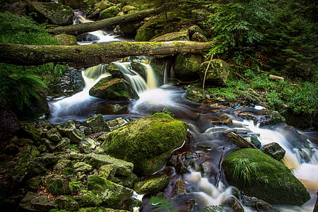 rocks covered with green moss beside river during daytime thumbnail