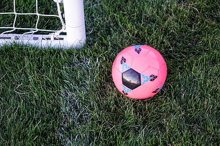 pink soccer ball beside nel goal thumbnail