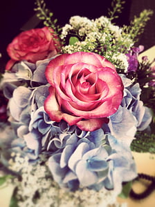 closeup photography of red rose in bloom thumbnail