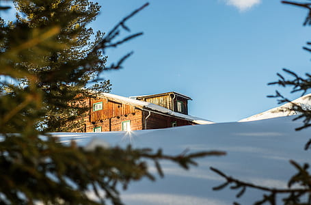 brown wooden house thumbnail