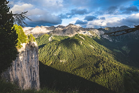 green trees and mountain thumbnail
