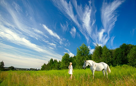 white horse and woman in field thumbnail