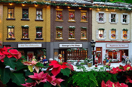 landscape photography of village surrounded with poinsettia flowers thumbnail