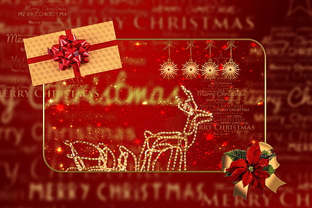 Christmas gift card illustration thumbnail