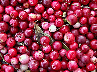 close-up photo of red cherries thumbnail