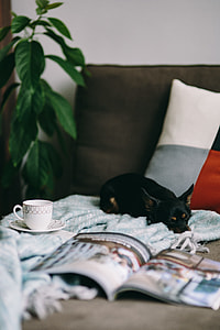 Resting with magazine and cute puppy thumbnail