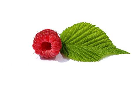 round red fruit thumbnail